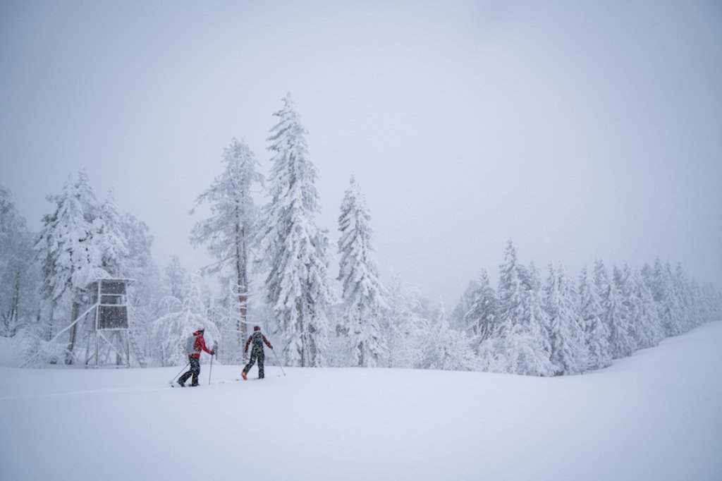 Tim 0085 Powder Zítřejší sníh | Pandemická zima je zároveň zimou změny klimatu ...