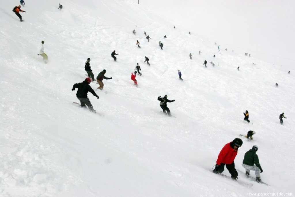 Powder Long Board Longboard Classics | PowderGuide