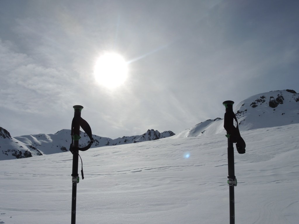 Black Diamond Compactor Ski Poles