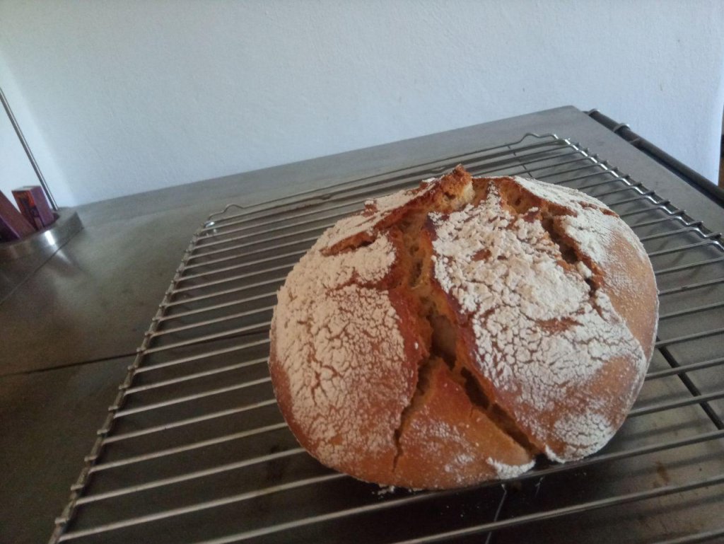 Spelt sourdough instead of ski touring - summary of spring 2020 in the WeatherBlog.