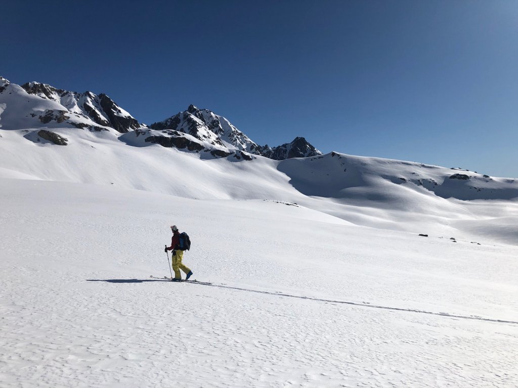 Gear of the Week | Famille de skis Blizzard | PowderGuide