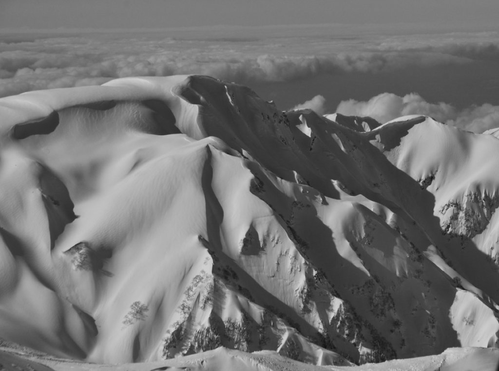 Plaley Zach Paley | PowderGuide