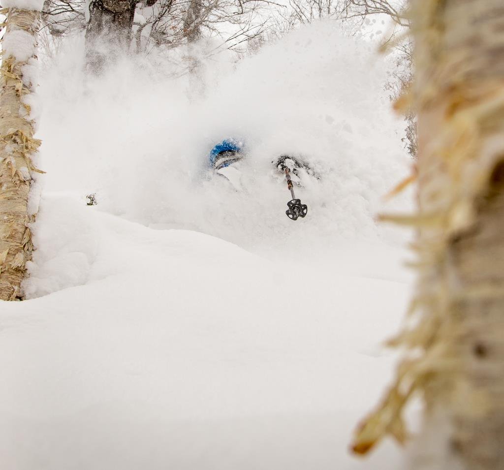 Plaley Zach Paley | PowderGuide